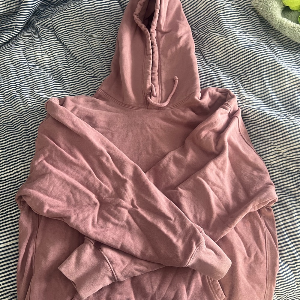Aritzia TNA extra fleece boyfriend hoodie, muave